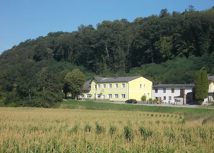 Kleebinder * Haunoldstein